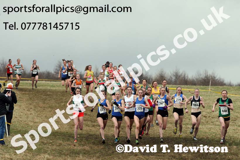 Senior women, 2018 Northern Cross Country Champs., Harewood House, Leeds. Photo: David T. Hewitson/Sports for All Pics